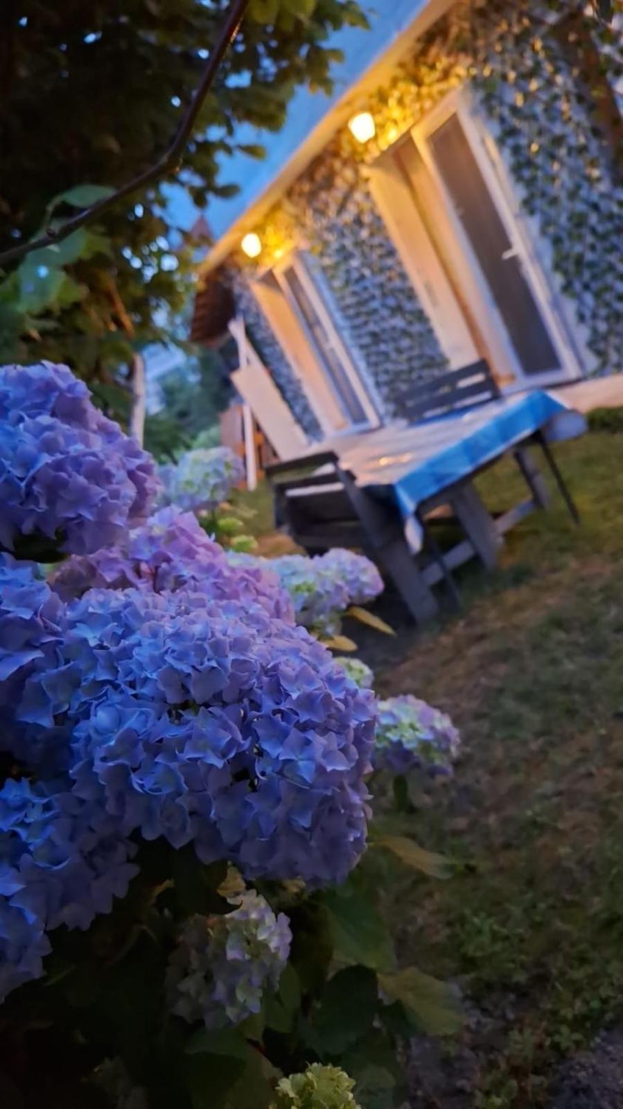 Yahya Rooms Ohrid Eksteriør bilde